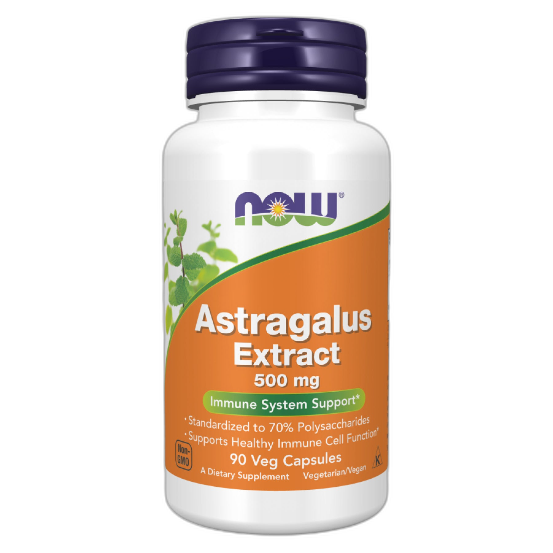 Astragalus Екстракт 500 мг - 90 капсул - Now Foods