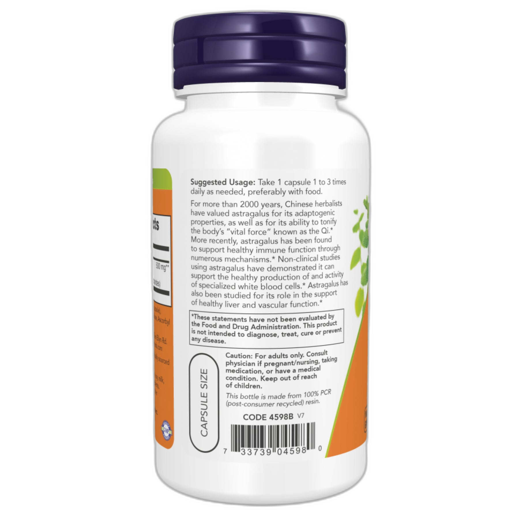 Astragalus Екстракт 500 мг - 90 капсул - Now Foods