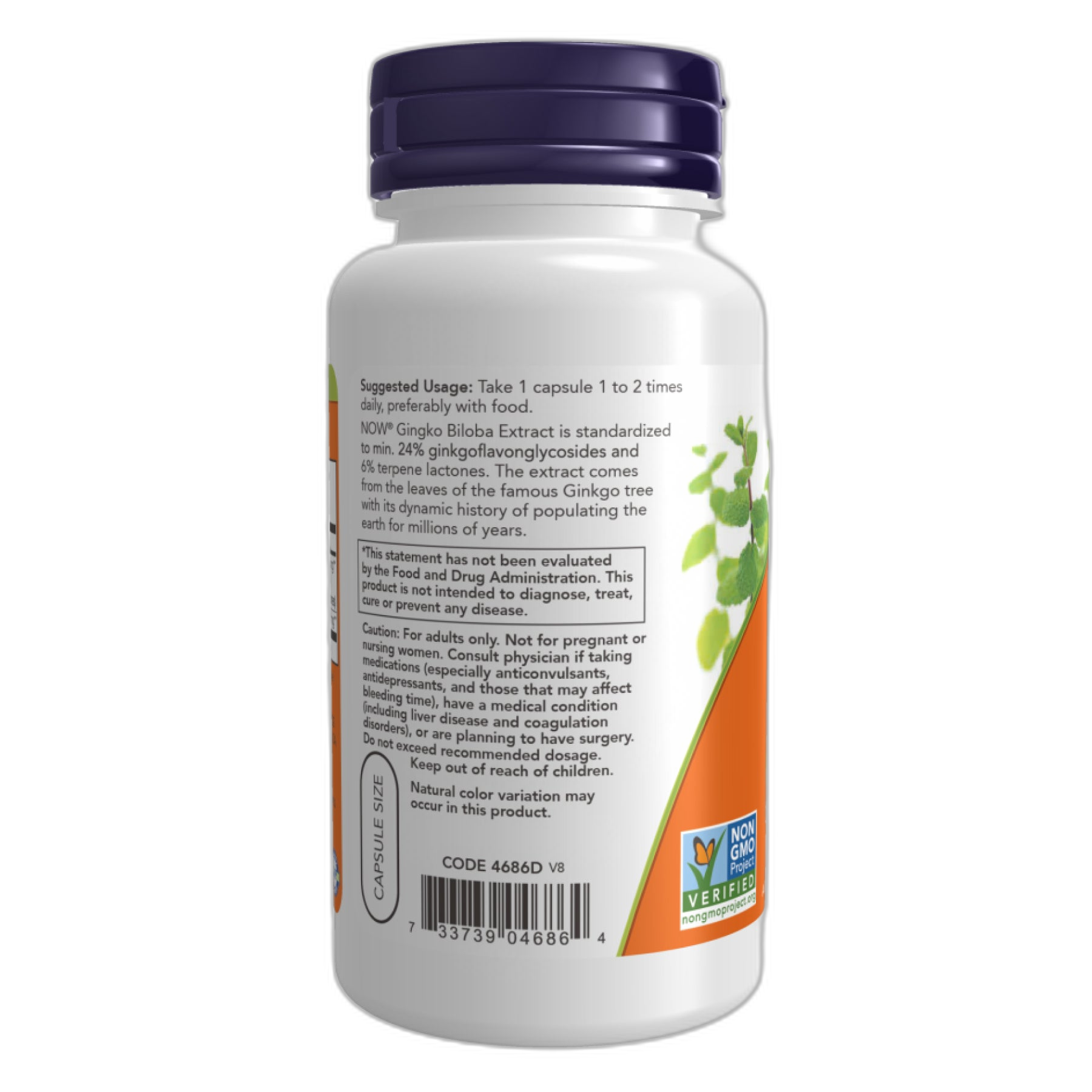 Гінкго білоба 60 мг - 240 капсул - Now Foods