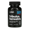 Якірці (Tribulus) Terrestris - 90 капсул - VPLab